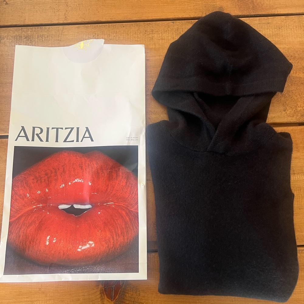 Aritzia Essential Cashmere Shrunken Hoodie